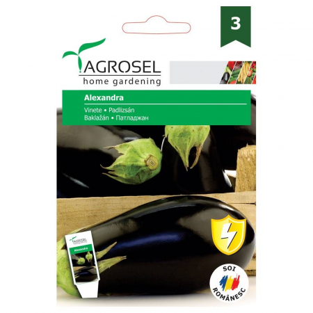 Produse - Seminte Vinete Alexandra, 2 grame