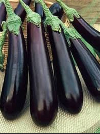 Seminte Vinete  Long Purple (alungite) 1 gram [1]