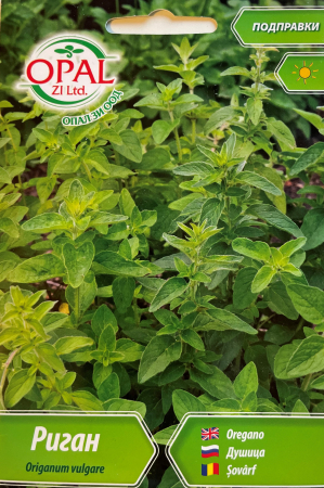 Plante aromatice - Seminte Oregano clasic (Sovarf) - 0.5 grame