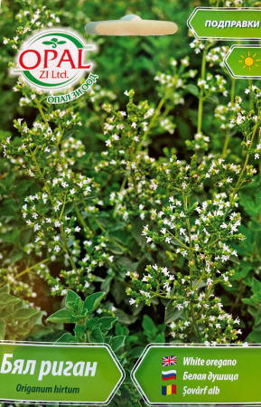 Plante aromatice - Seminte Oregano Alb (Sovarf alb sau Maghiran) 1400 seminte