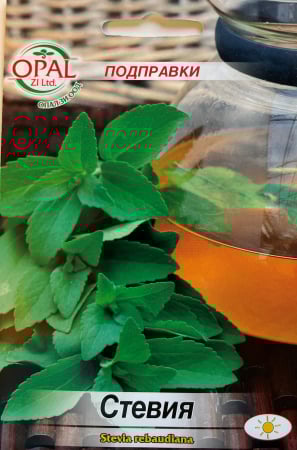 Plante aromatice - Seminte Stevie Dulce 25 seminte