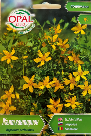 Plante aromatice - Seminte Sunatoare Medicinala 2000 seminte