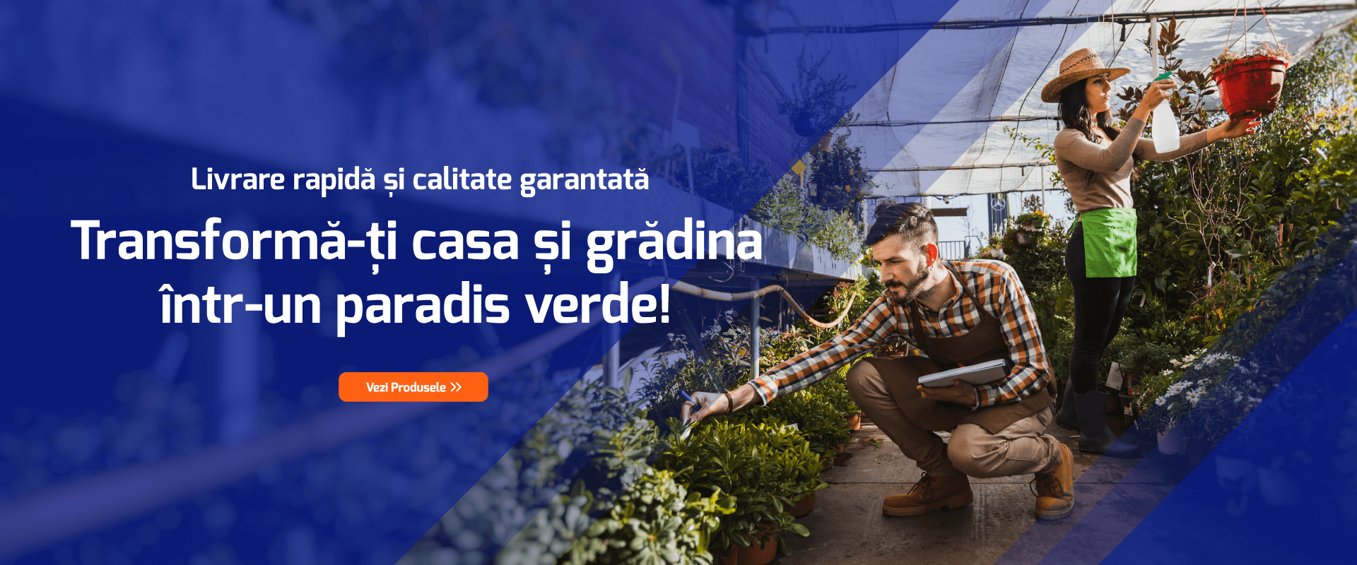 Carusel Desktop