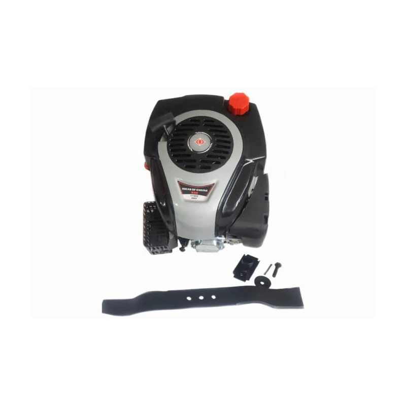Motor cu ax vertical 6HP 173cc [1]