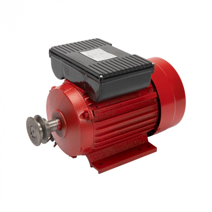 Motor electric 2.5 kw 3000rpm TROIAN ROSU [1]