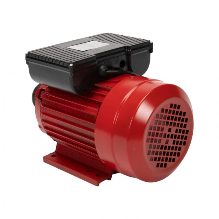 Motor electric 2.5 kw 3000rpm TROIAN ROSU [2]