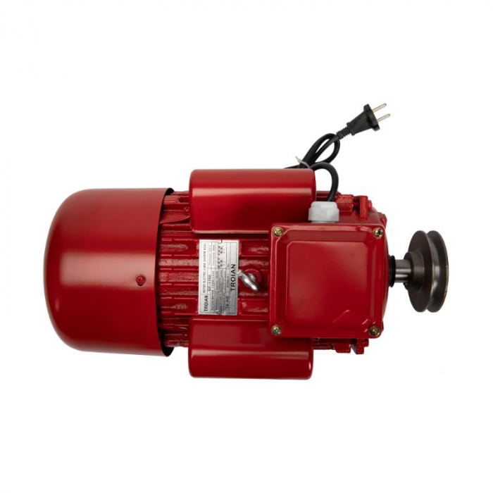 Motor electric 4.0 kw 3000rpm TROIAN ROSU [2]
