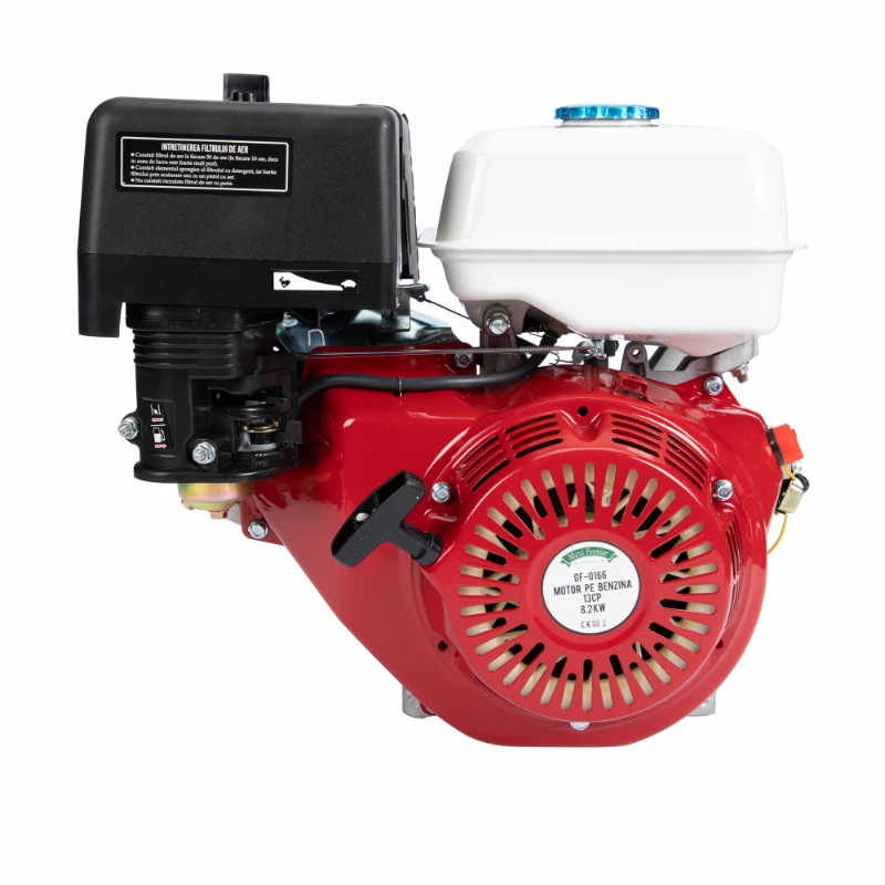 Motor pe benzina 13HP [2]