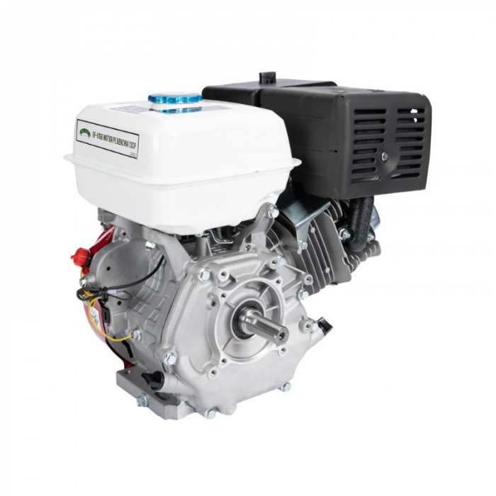 Motor pe benzina 13HP [1]