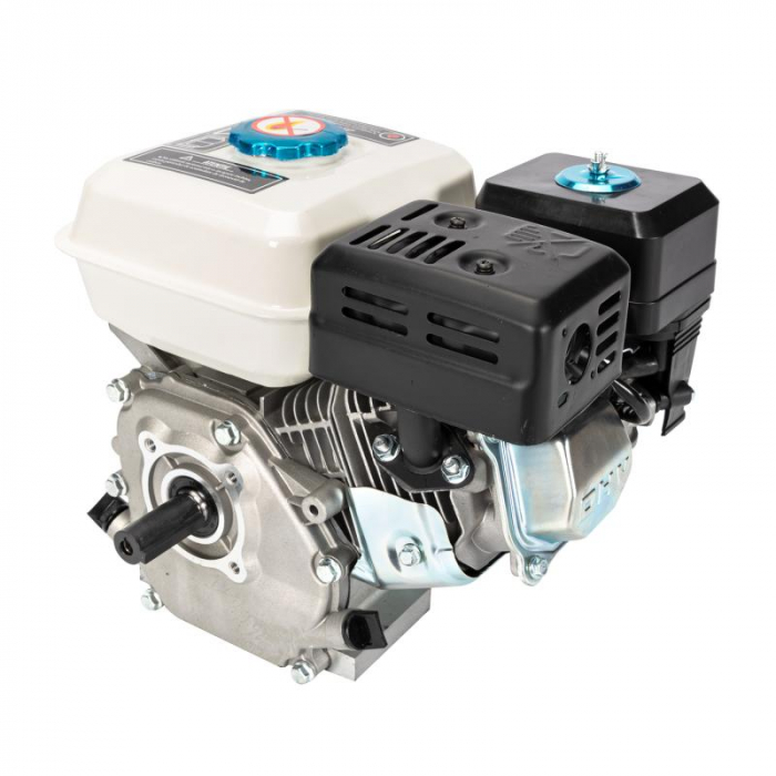 Motor pe benzina 6,5HP [1]