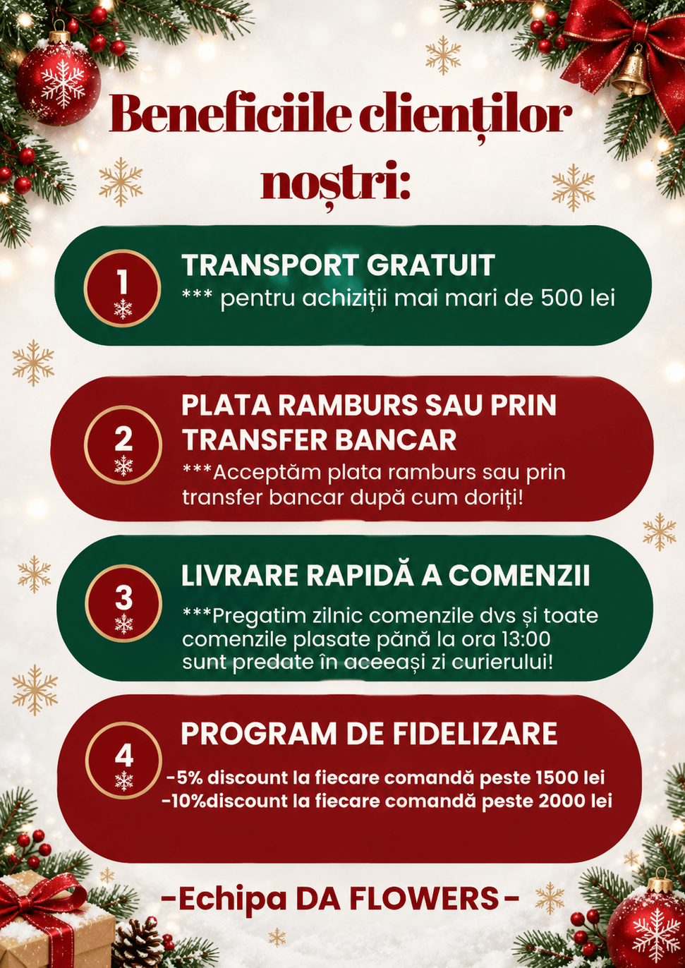 FLORI SI PLANTE USCATE