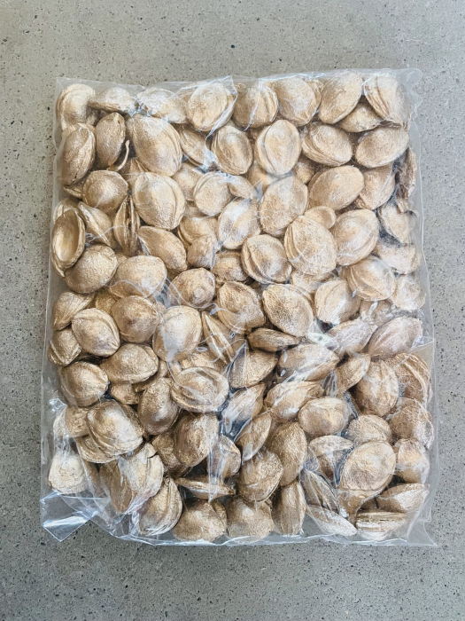 Samburi de caise champagne [1]