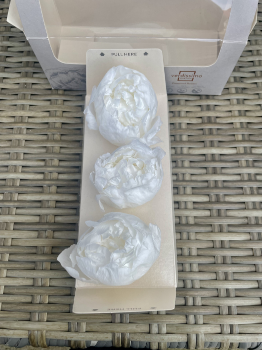 Bujori albi dantelati, cutie cu 3 bucati [2]