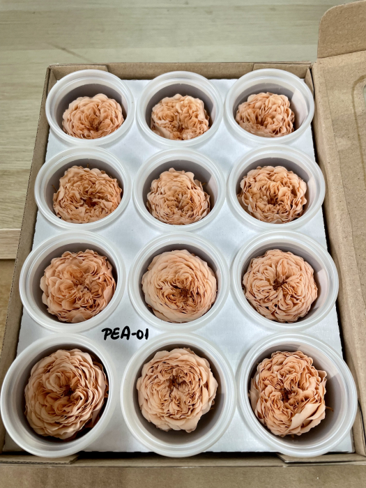 MINI AL PEA-01 [1]