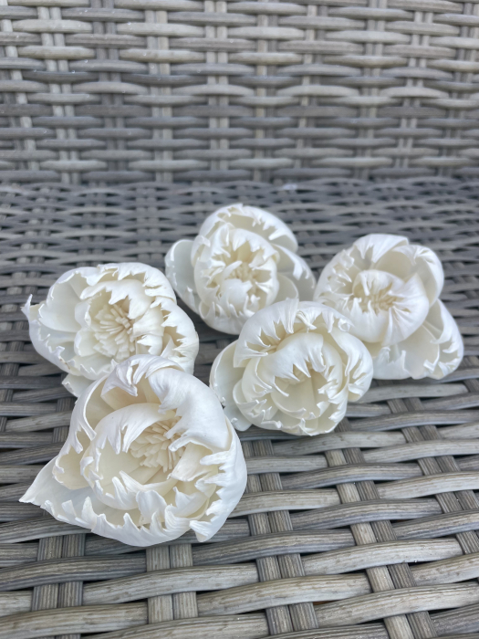 Bujori Shola 5 capete [1]