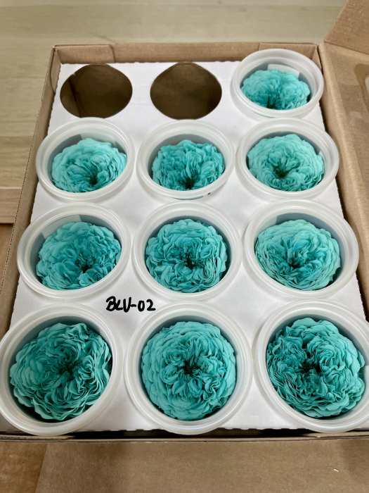 BLU-02 [1]