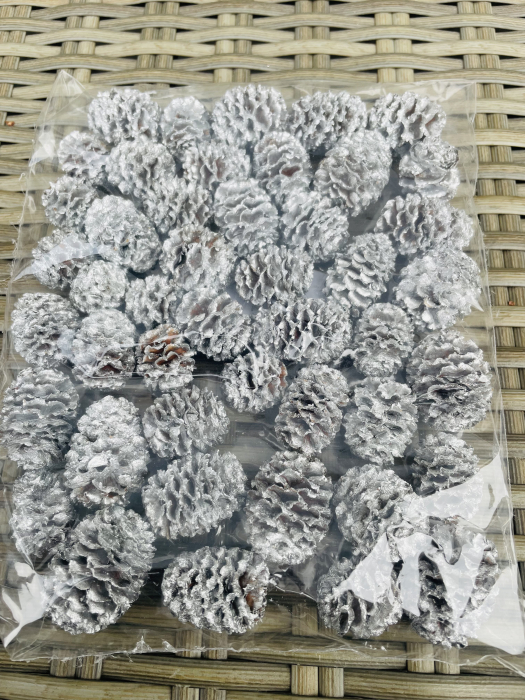 Conuri vopsite argintii [1]