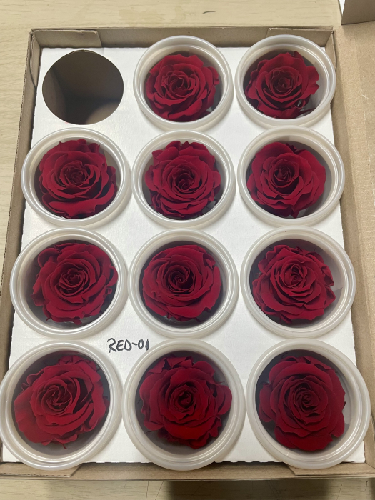 RED-01, marime S/M [1]