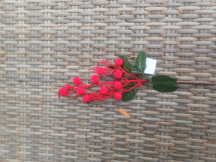 Pick cu bobite catifea rosii si frunza verde [1]