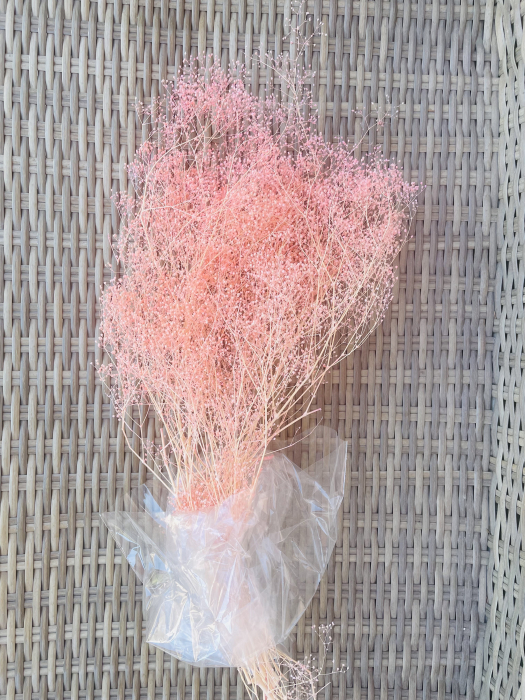 Mini gypsophila PEACH [1]