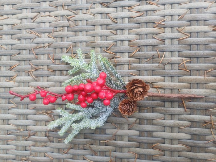 Pick bobite rosii si conuri [1]