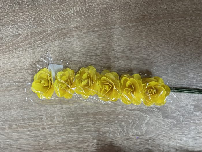 Begonia galbena [1]