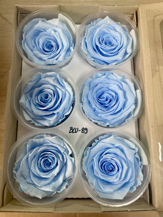 BLU-89, marime LL+ [1]