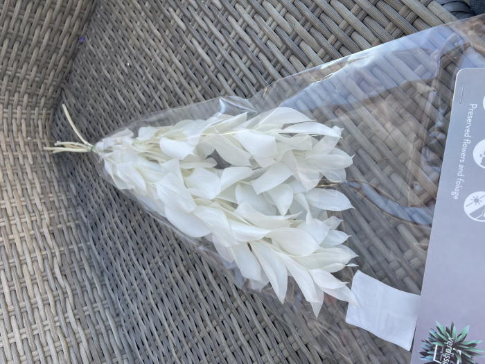 Ruscus Alb criogenat [2]