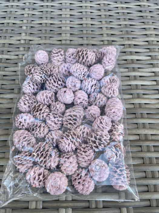 Conuri vopsite roz deschis [1]