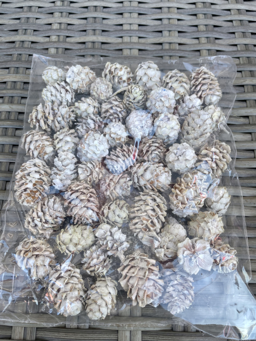 Conuri vopsite cu alb [1]