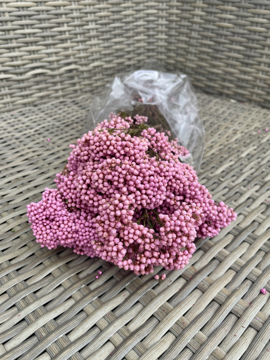 Floare de orez Roz [1]