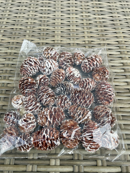 Conuri vopsite cu putin alb [1]