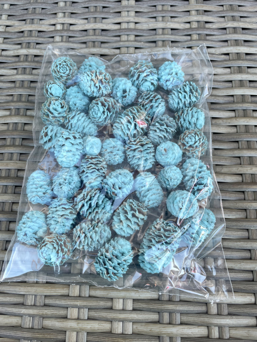 Conuri vopsite albastru deschis [1]