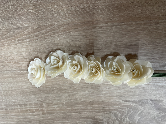 Begonia alba [1]