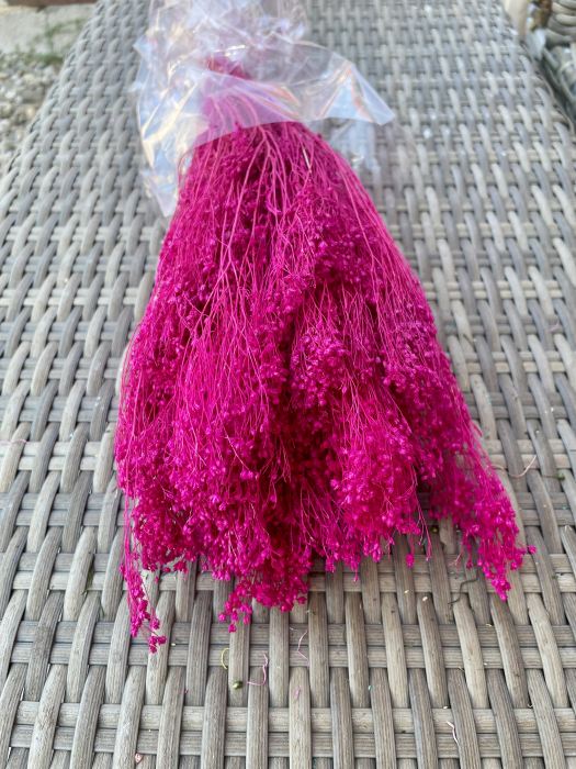 Broom Bloom ciclam [1]