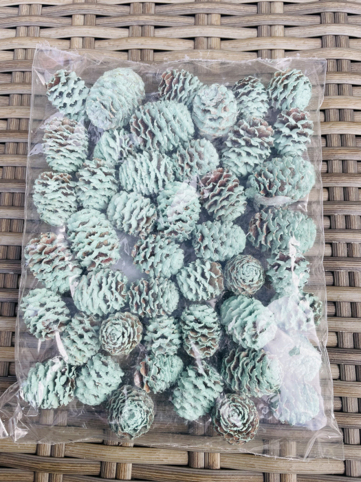 Conuri vopsite albastru deschis [2]