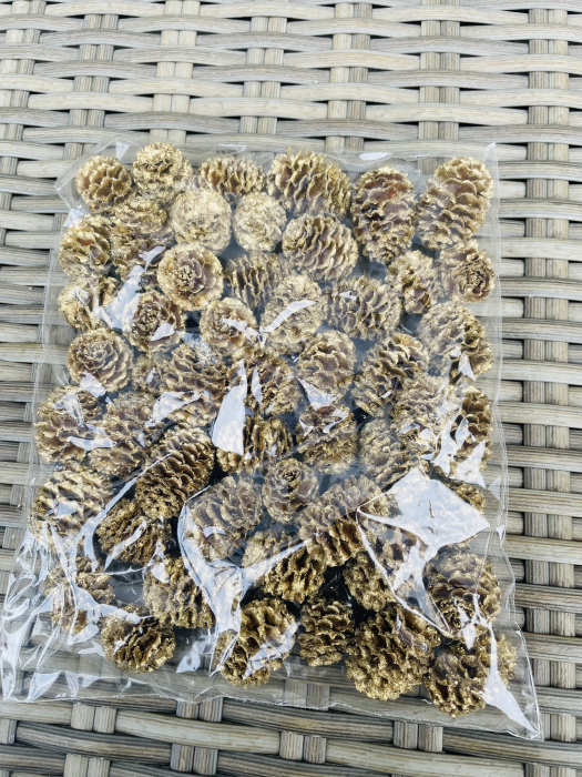 Conuri vopsite aurii [1]