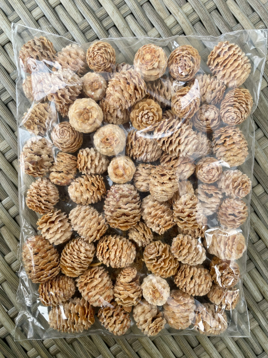 Conuri vopsite crem/vanilla [1]