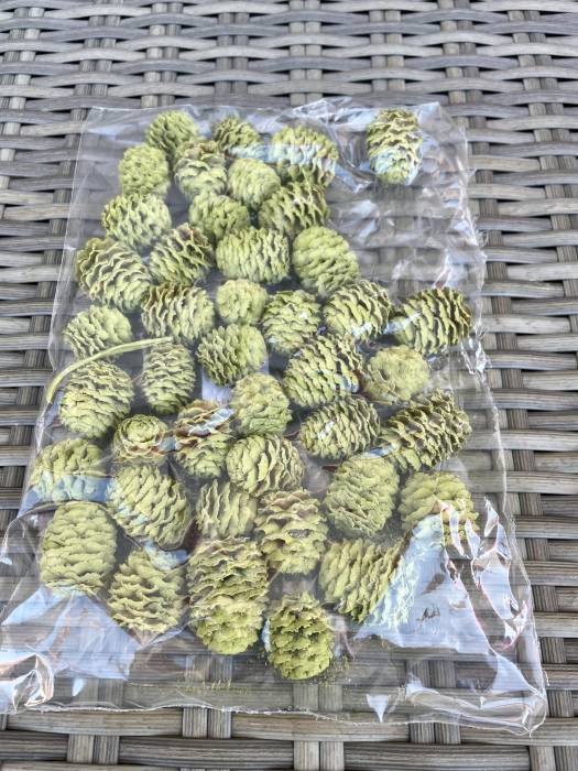 Conuri vopsite verzi [1]