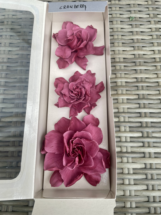 Gardenia Cranberry- set 3 bucati [1]