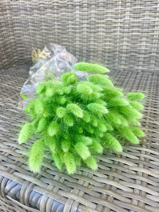 Lagurus verde deschis [1]