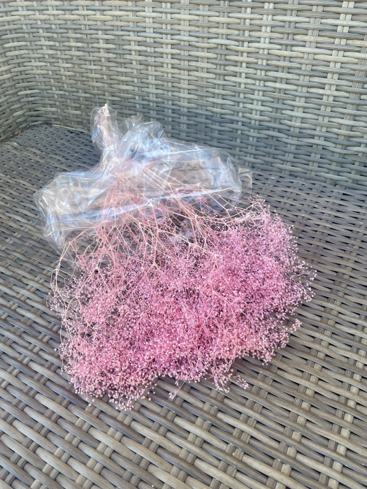 Mini gypsophila roz [1]