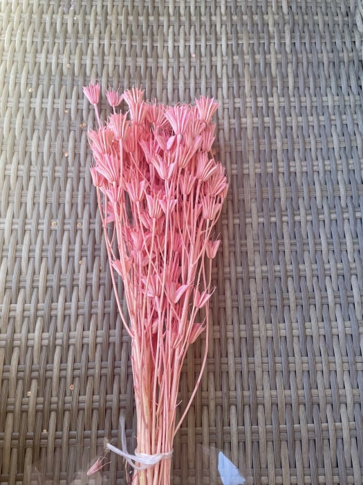 Nigella roz [1]