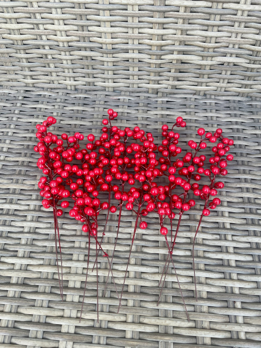 Pick set 12 merisoare rosii [1]