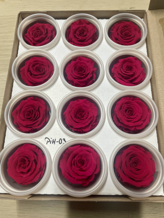 PIN-03,marime S/M [1]