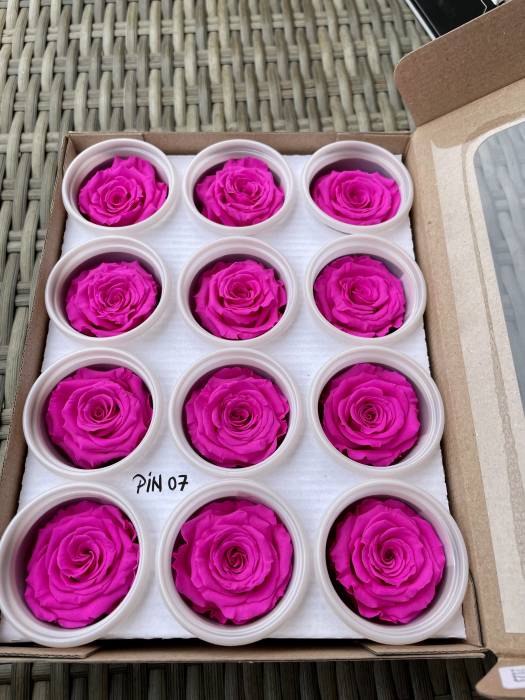 PIN-07,marime S/M [1]