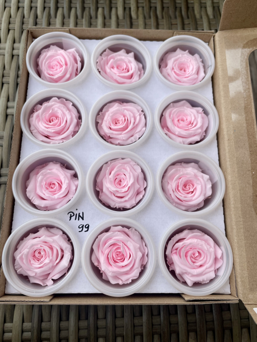 PIN-99,marime S/M [1]