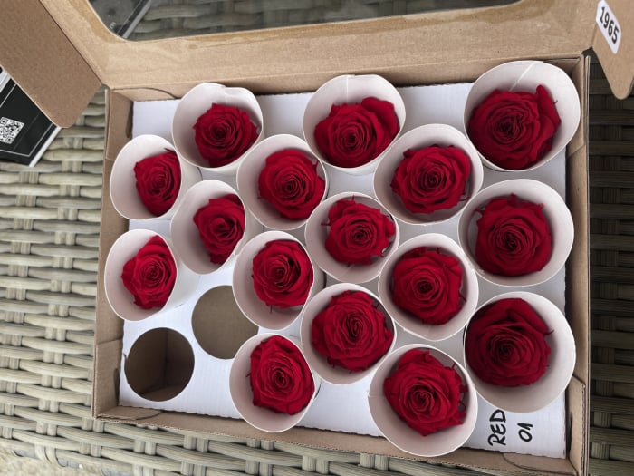 RED-01, marime XS [1]