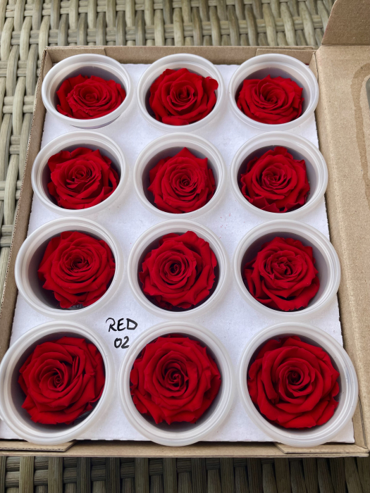 RED-02,marime S/M [1]