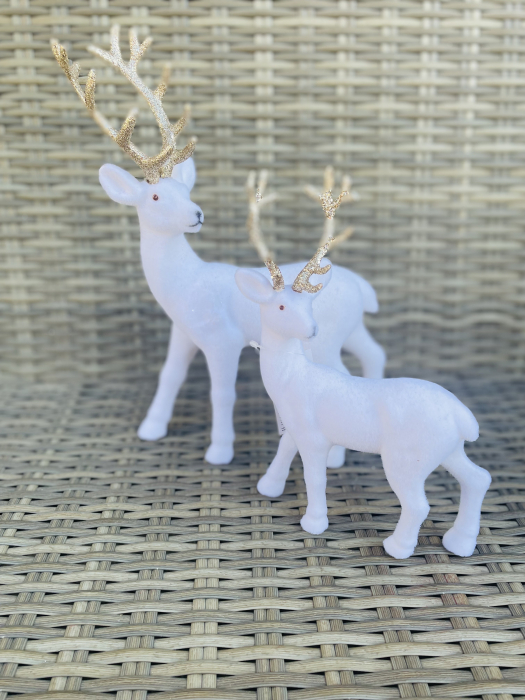 Ren catifea alb Mare [2]